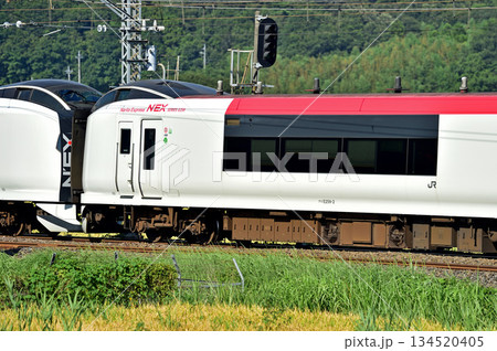 総武本線　佐倉－物井　JR東日本　E259系　Ne002編成（鎌倉）　成田エクスプレス　NEX 134520405