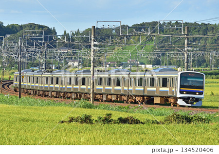 総武本線　佐倉－物井　JR東日本　209系　C601編成（幕張） 134520406