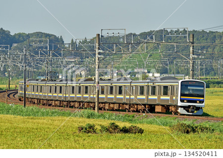 総武本線 佐倉-物井 JR東日本 209系 C622編成(幕張) 総武本線 佐倉-物井 JR東日本 209系 C622編成(幕張) 134520411