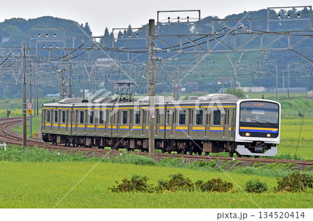 総武本線　佐倉－物井　JR東日本　209系　C422編成（幕張） 134520414