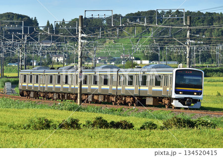 総武本線 佐倉-物井 JR東日本 209系 C420編成(幕張) 総武本線 佐倉-物井 JR東日本 209系 C420編成(幕張) 134520415
