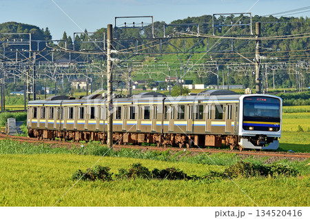 総武本線　佐倉－物井　JR東日本　209系　C421編成（幕張） 134520416