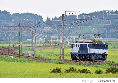 総武本線 佐倉-物井 JR貨物 EF64-1027(愛知) 総武本線 佐倉-物井 JR貨物 EF64-1027(愛知) 134520419