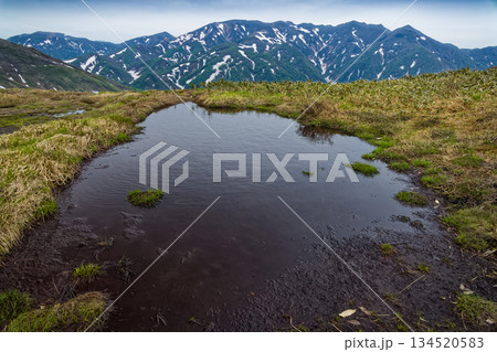 上越国境・蓬峠の池塘と残雪の朝日岳 134520583