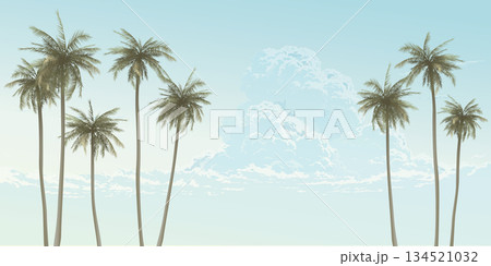 Coconut palm trees with clouds and blue sky background fade condition graphic illustration have blank space. 134521032