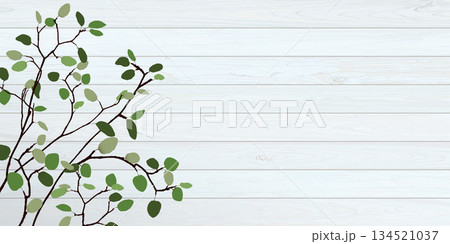 Tree branch with green leaves have white wooden wall background graphic illustration have blank space. Tree branch with green leaves have white wooden wall background graphic illustration have blank space. 134521037
