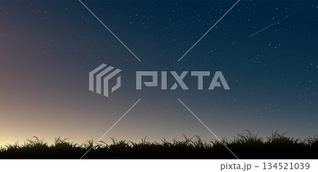 Silhouette grass field landscape at night with a lot of star and meteor background graphic illustration have blank space. 134521039