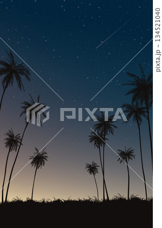 Silhouette coconut palm trees and grass field landscape with a lot of star and meteor in the night sky vertical background graphic illustration have blank space. Silhouette coconut palm trees and grass field landscape with a lot of star and meteor in the night sky vertical background graphic illustration have blank space. 134521040