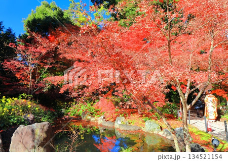 【京都府】紅葉の長岡天満宮の錦景園(弁天池) 【京都府】紅葉の長岡天満宮の錦景園(弁天池) 134521154