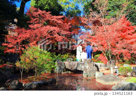 【京都府】紅葉の長岡天満宮の錦景園（弁天池） 134521163