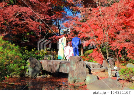【京都府】紅葉の長岡天満宮の錦景園(弁天池) 【京都府】紅葉の長岡天満宮の錦景園(弁天池) 134521167