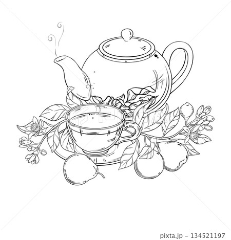 Bergamot Tea in Teapot Outline Illustration. 134521197