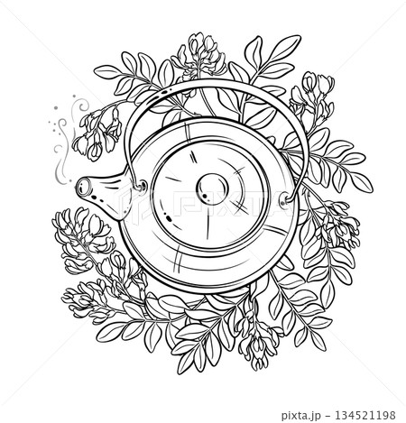 Astragalus Tea in Teapot Outline Illustration. 134521198