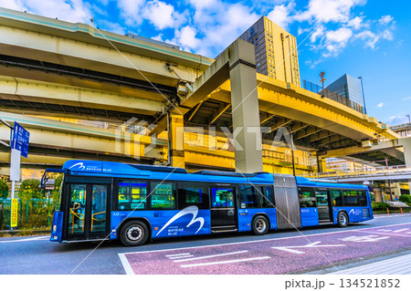 日本の横浜都市景観 横浜駅東口(中央)から発車したヨコハマベイサイドブルー(回送車)などを望む 日本の横浜都市景観 横浜駅東口(中央)から発車したヨコハマベイサイドブルー(回送車)などを望む 134521852