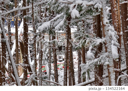 秋田内陸線 脱線転覆した AN-8806 134522164