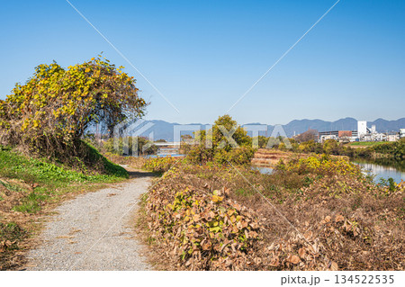冬の桂川河川敷風景　京都市 134522535