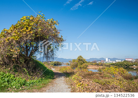 冬の桂川河川敷風景　京都市 134522536