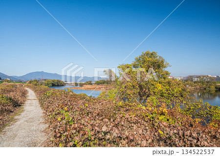 冬の桂川河川敷風景 京都市 冬の桂川河川敷風景 京都市 134522537
