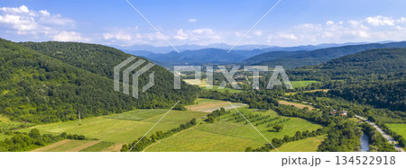 vast green landscape  134522918