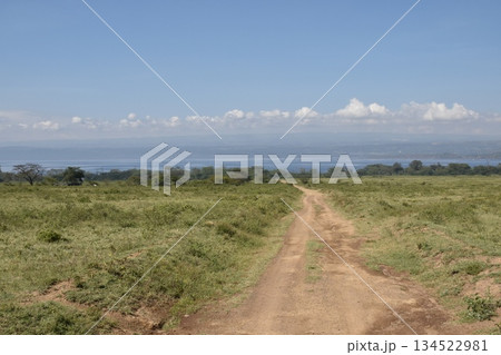 ケニアのサファリ ナクル湖国立公園に広がる大自然の景色 134522981