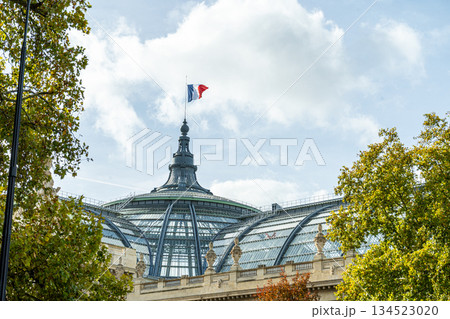 Flag of France in Paris on the glass dome and spire of the Grand Palais French 134523020