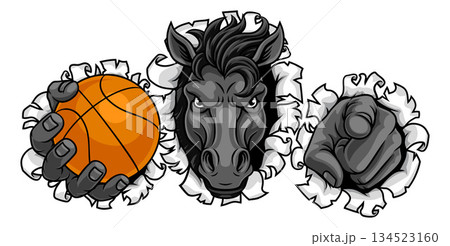 Horse Mustang Stallion Basketball Sports Mascot Horse Mustang Stallion Basketball Sports Mascot 134523160