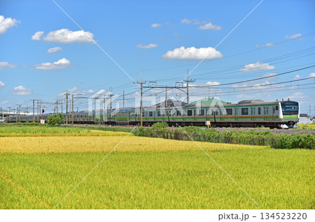 東北本線　栗橋ー東鷲宮　JR東日本　E233系3000番台　E-01編成（国府津） 134523220