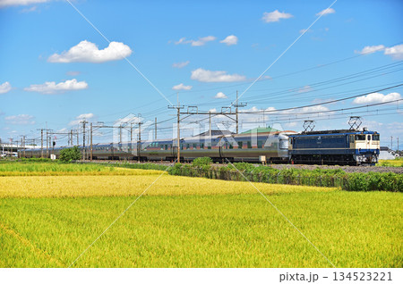 東北本線 栗橋ー東鷲宮 JR東日本 EF65-1102(田端)+E26系(尾久) 黒磯訓練 東北本線 栗橋ー東鷲宮 JR東日本 EF65-1102(田端)+E26系(尾久) 黒磯訓練 134523221