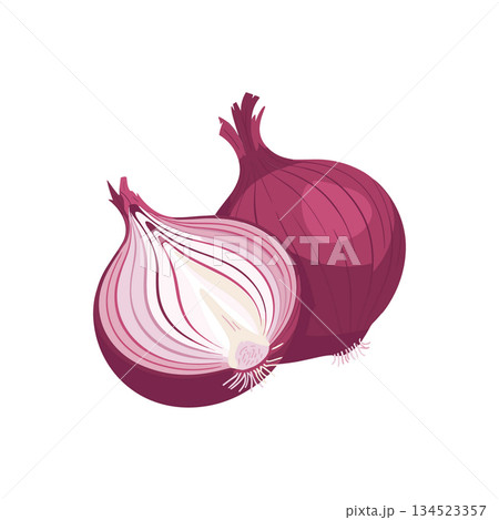 Whole and half sliced red onion vegetable. Fresh organic food cooking ingredient vector illustration 134523357