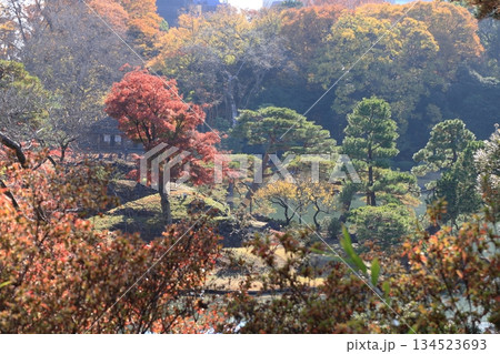東京都 六義園 妹山・背山、玉藻磯付近 東京都 六義園 妹山・背山、玉藻磯付近 134523693