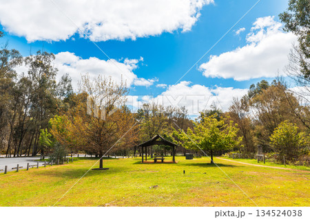Historical Zumsteins Park in Grampians, Victoria, Australia 134524038