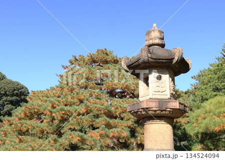 東京都　六義園　渡月橋付近 134524094