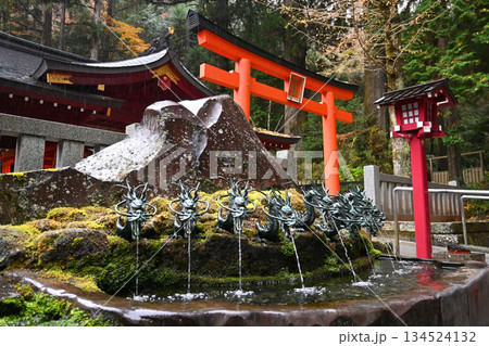 秋雨降る神奈川県箱根 九頭龍神社新宮 134524132