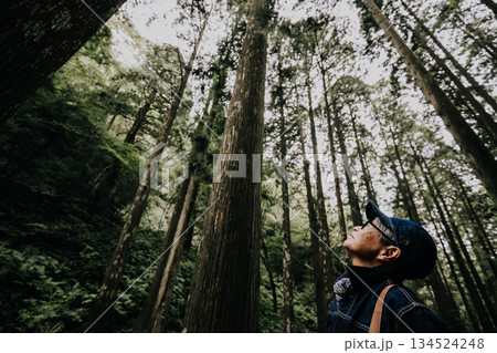 巨木が立ち並ぶ森を見上げる女性 134524248