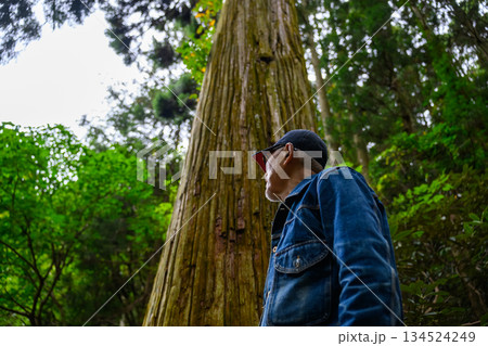 森の中で巨木を見上げるキャップ姿の男性 森の中で巨木を見上げるキャップ姿の男性 134524249