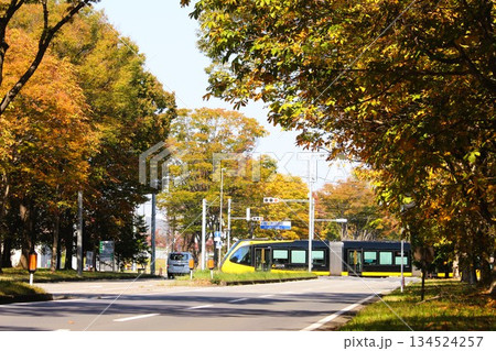 宇都宮LRT 134524257