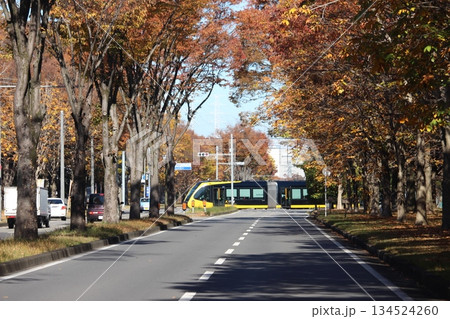 宇都宮LRT 134524260