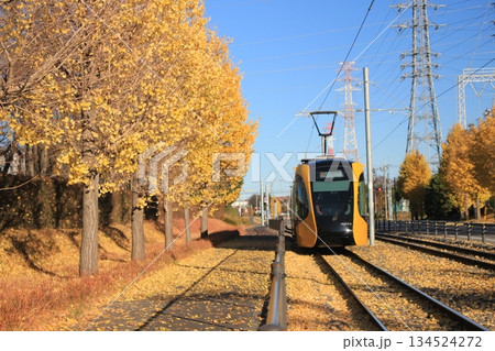 宇都宮LRT 宇都宮LRT 134524272