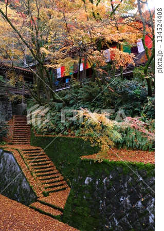 秋の禅林寺永観堂にて(京都府京都市左京区) 秋の禅林寺永観堂にて(京都府京都市左京区) 134524408