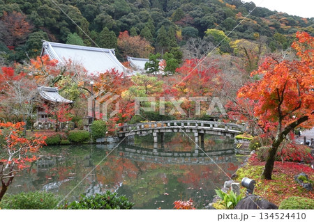 秋の禅林寺永観堂にて(京都府京都市左京区) 秋の禅林寺永観堂にて(京都府京都市左京区) 134524410