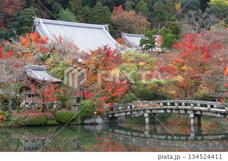 秋の禅林寺永観堂にて(京都府京都市左京区) 秋の禅林寺永観堂にて(京都府京都市左京区) 134524411
