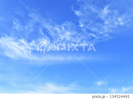 木枯らしイメージ　A3（ fix撮影 ） 134524491