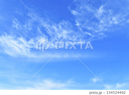 木枯らしイメージ　四切ワイド（ fix撮影 ） 134524492