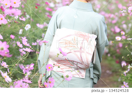 コスモス畑を歩く着物を着た女性 コスモス畑を歩く着物を着た女性 134524528
