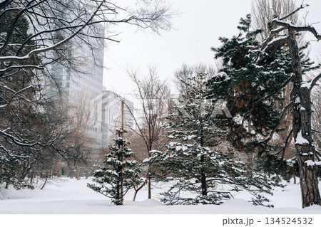 Snowy Winter Scenery of Hokkaido Government Office Garden in Sapporo, Japan Snowy Winter Scenery of Hokkaido Government Office Garden in Sapporo, Japan 134524532