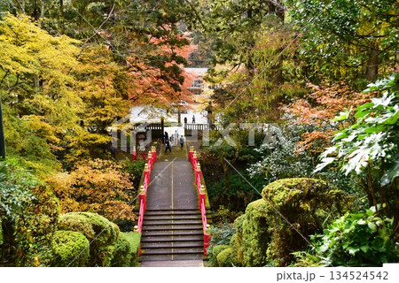 栃木県 雲厳寺の紅葉と反り橋 栃木県 雲厳寺の紅葉と反り橋 134524542