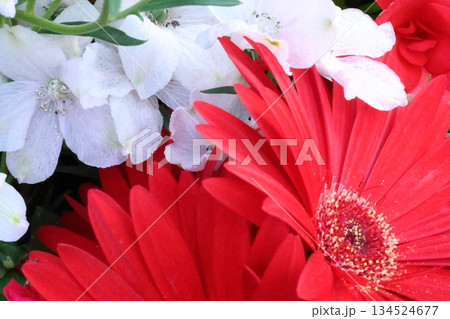 鮮やかなガーベラとデルフィニウム 134524677