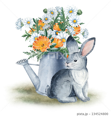 Watercolor scene with a rabbit sitting near a watering can filled with flowers, ideal for childrens illustrations, nursery decor, greeting cards, packaging and spring themed designs Watercolor scene with a rabbit sitting near a watering can filled with flowers, ideal for childrens illustrations, nursery decor, greeting cards, packaging and spring themed designs 134524800