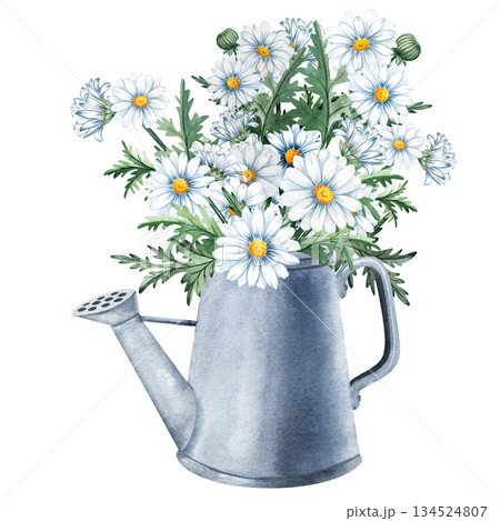 Watercolor hand painted illustration of a metal watering can filled with blooming daisies, perfect for floral designs, spring decor, stationery, packaging, garden themed projects 134524807