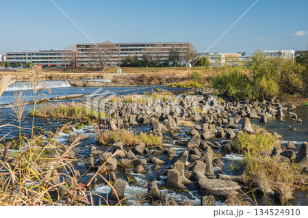 冬の桂川　堰のある風景　京都市 134524910